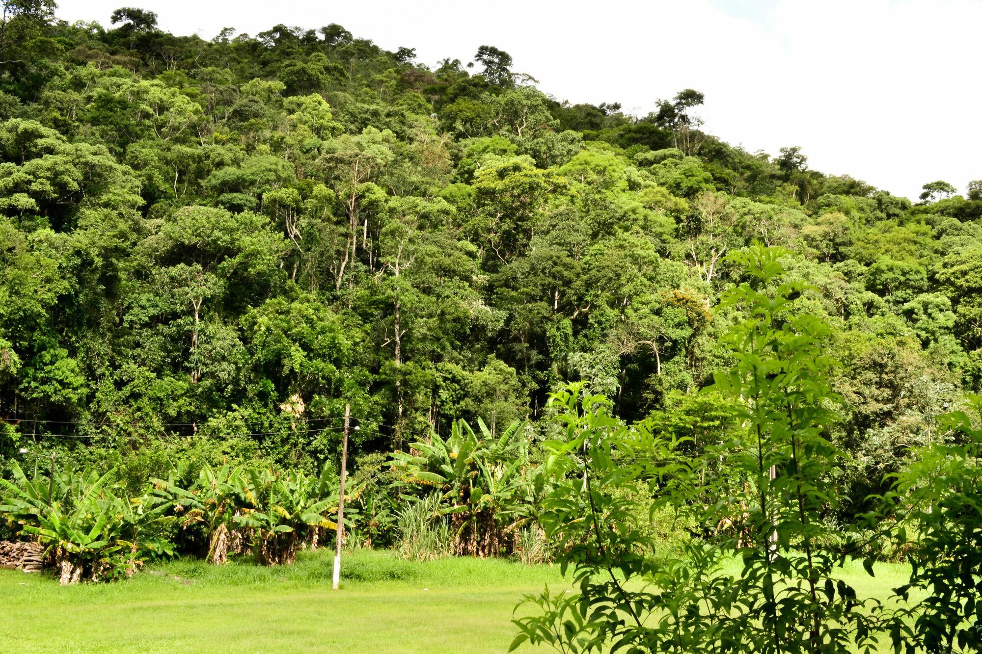 Vale Verde Penedo Hotel Luaran gambar
